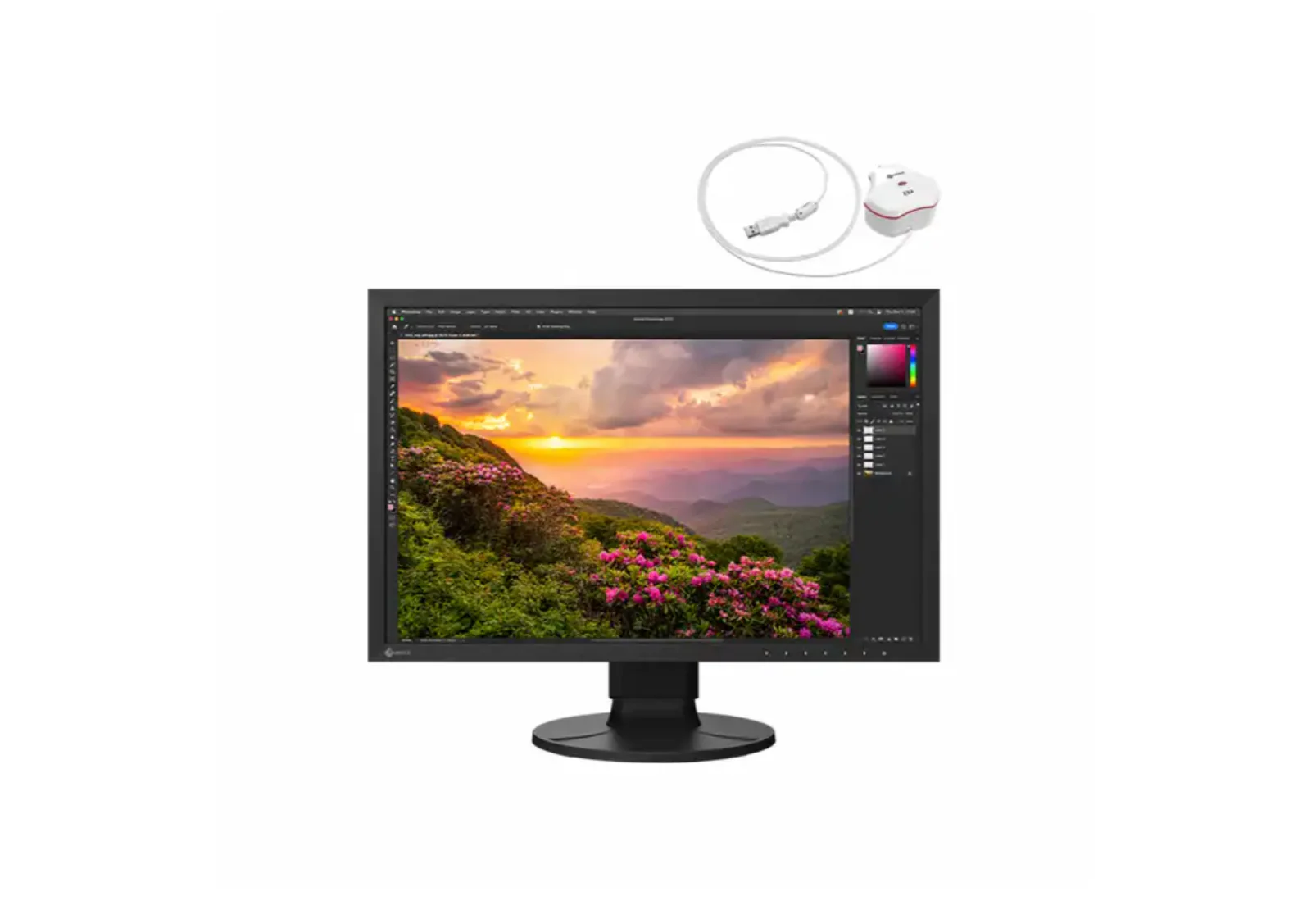 Eizo ColorEdge CS2400SCAL 24" - 1920x1200 IPS 60Hz
