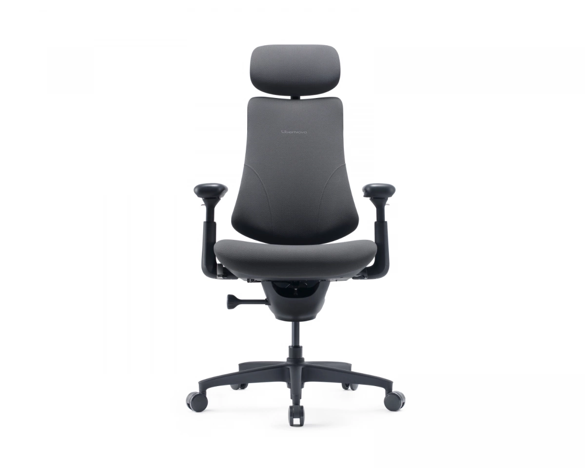 Libernovo Omni Gen Dynamic Ergonomisk Stol - Graphite Gray