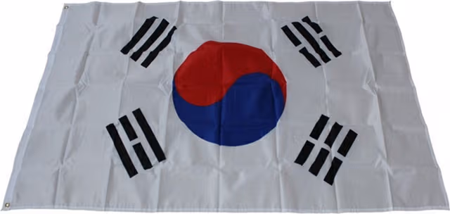 Sydkorea Flagga 90x150cm Banderoll Utomhus Inomhus Festdekoration