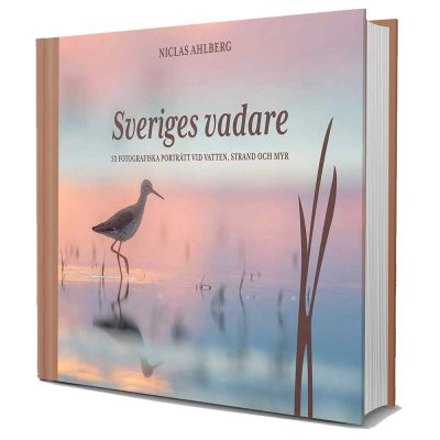 Sveriges vadare - 33 fotografiska porträtt vid vatten, strand och myr