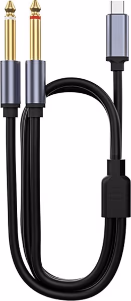 Type-C till Dubbel 6.5mm Ljudkabel: Anslut Instrument & Ljudutrustning 2 m