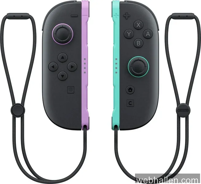Nintendo Joy-Con 2 Pair Purple Green