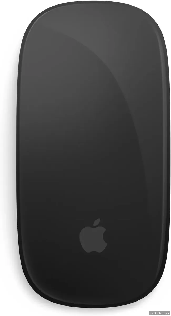 Apple Magic Mouse / Multi-Touch Surface - Svart