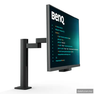 BenQ 28" RD280UA Ergo Stand IPS 4K+ USB-C