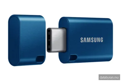 Samsung Flash Drive - USB-C - Blå - 512GB - USB-minne