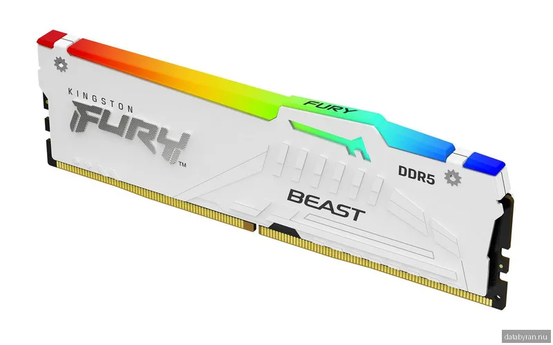 Kingston 32GB (1x32GB) DDR5 6000MHz CL36 FURY Beast RGB Vit AMD EXPO/Intel XMP 3.0