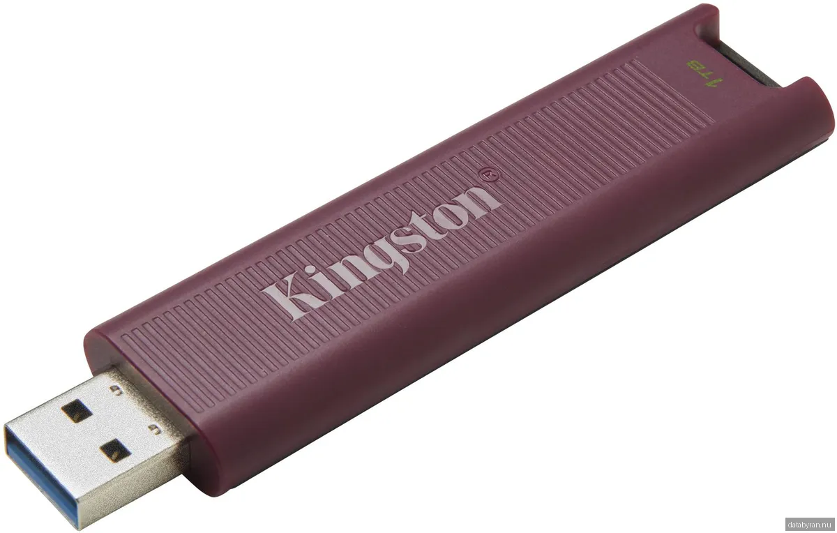 Kingston DataTraveler Max - Lila - 1TB - USB-minne