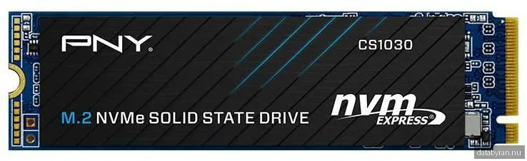 PNY CS1030 M.2 NVMe intern SSD (1 TB)