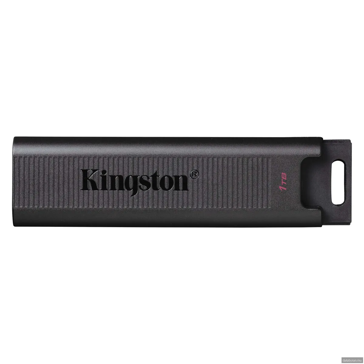Kingston DataTraveler Max - Svart - 1TB - USB-minne