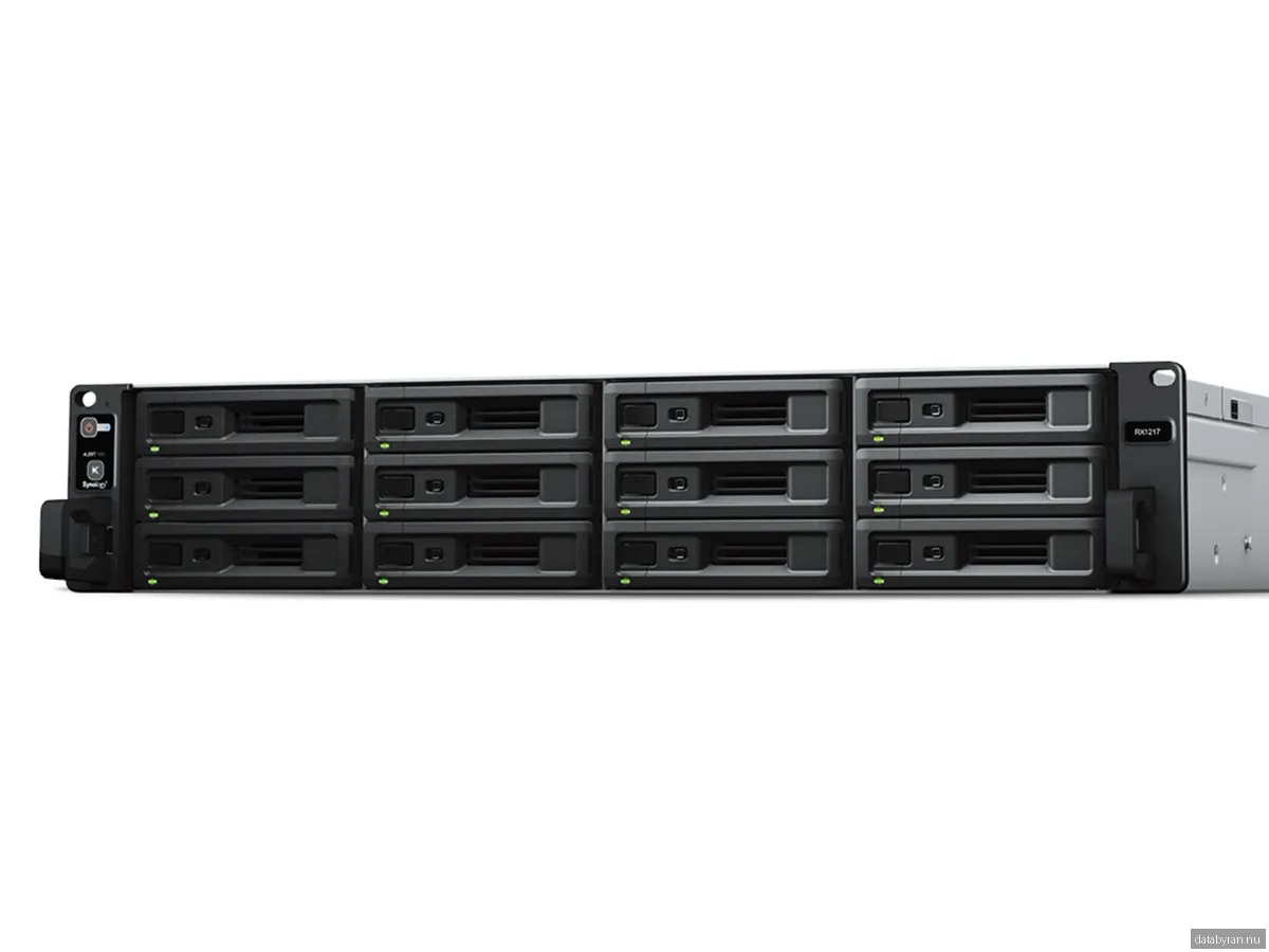 Synology RX1217 12 Bay RackStation Expansion Unit