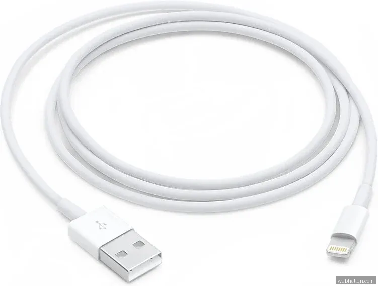 Apple Lightning till USB-kabel (1 m)