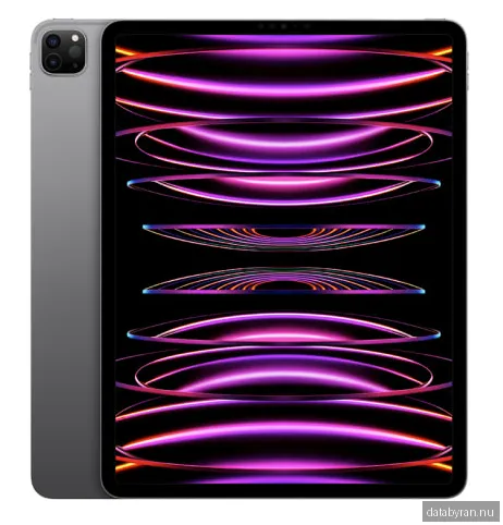 Apple iPad Pro 12,9-tum (2022) Wi-Fi 512 GB - Rymdgrå