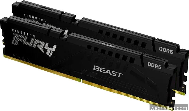 16 GB (2x8GB) DDR5-6000 Kingston FURY Beast Black CL36, AMD EXPO - Svart