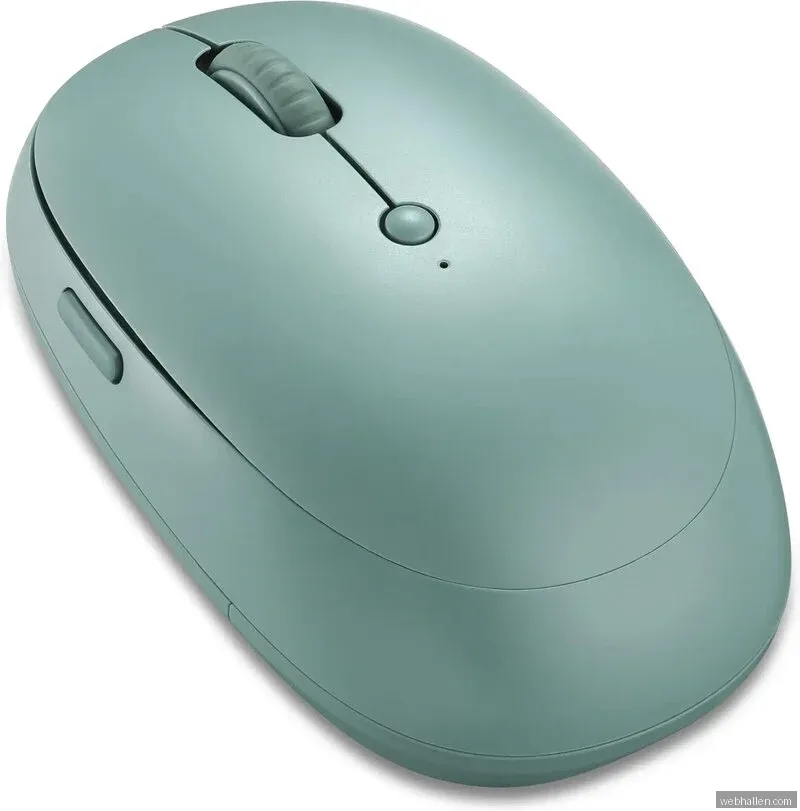 ON WME 200 Wireless Mouse 2 - Sage Leaf