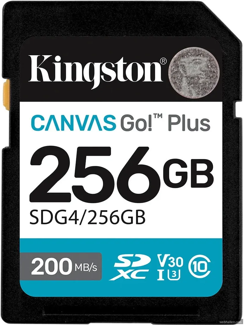 Kingston Canvas Go! Plus SDXC 256GB