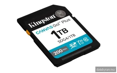 Kingston Canvas Go! Plus