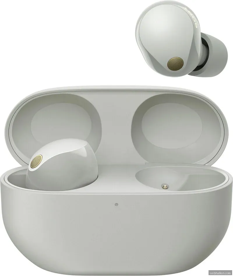 Sony WF-1000XM5 - Earbuds - Silver