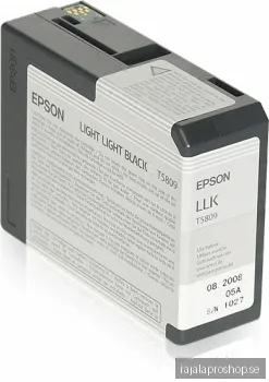 Epson T5809 Light Light Black
