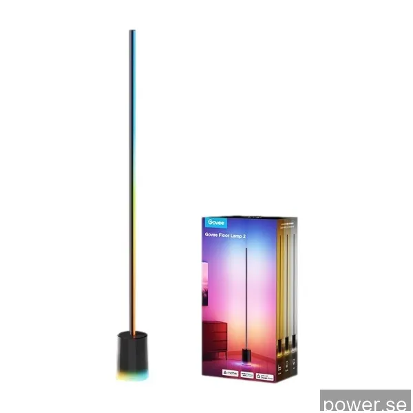 Govee Floor Lamp 2