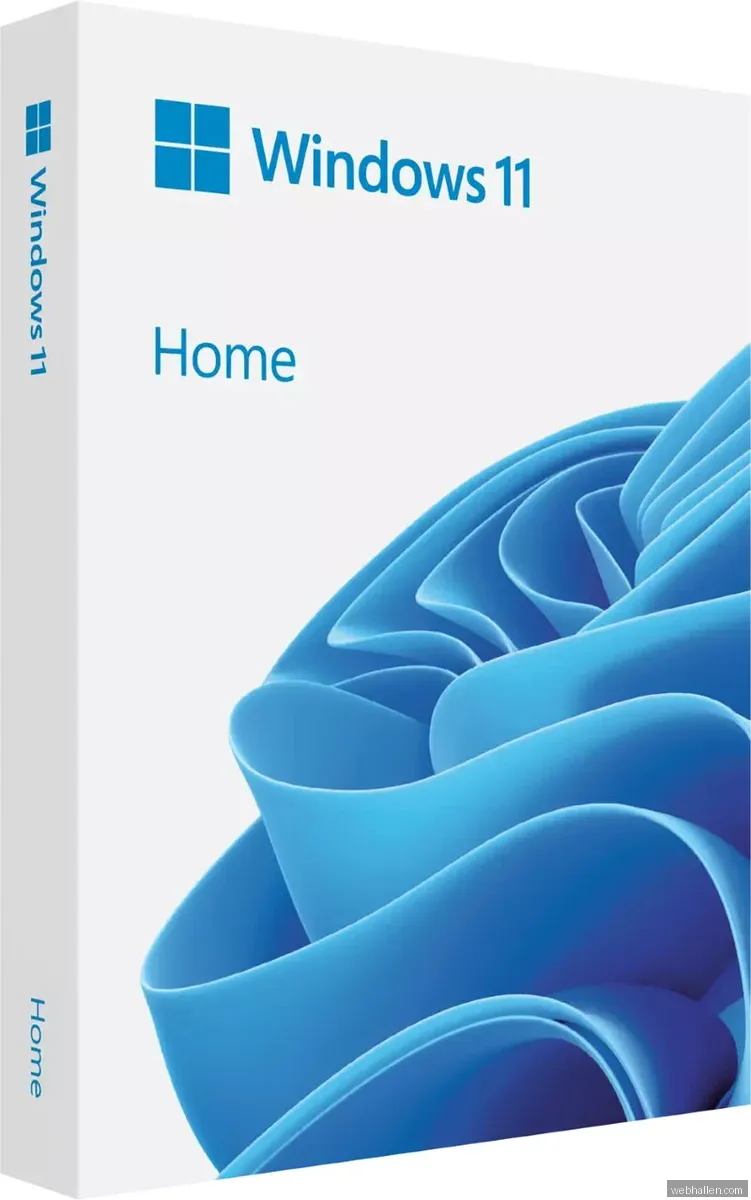 Microsoft Windows 11 Home