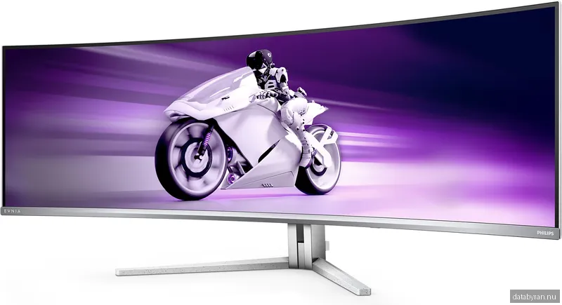 Philips 49" 49M2C8900L/00