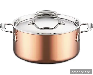 Austin and Barbeque AABQ Pro 20x10cm casserole