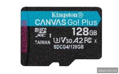 Kingston Canvas Go! Plus microSD 128GB
