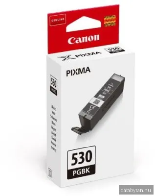 Canon PGI-530PGBK, Svart, 400 sidor
