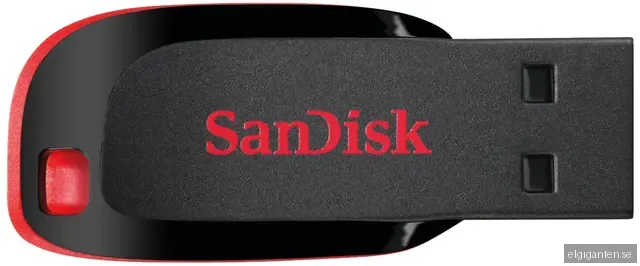 SanDisk Cruzer Blade
