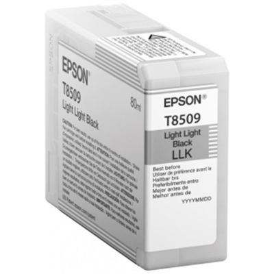 Epson UltraChrome HD T8509, 80 ml, Ljus Ljus Svart