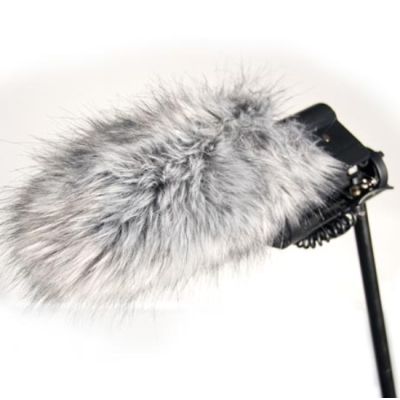Røde Dead Cat