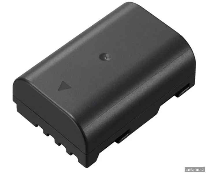 Panasonic DMW-BLF19E - kamerabatteri - Li-Ion