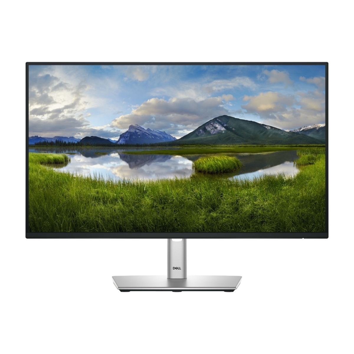 24" Dell P2425HE - 1920x1080 (FHD) - 100Hz - IPS - 90W USB-C