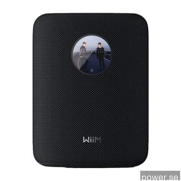 WiiM Sound - Smart Speaker - Black