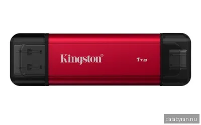 Kingston Dual Portable SSD - 1TB - Extern SSD - Svart - USB 3.2 Gen 2