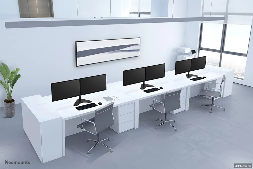 Neomounts FPMA-D550DDBLACK - desk mount