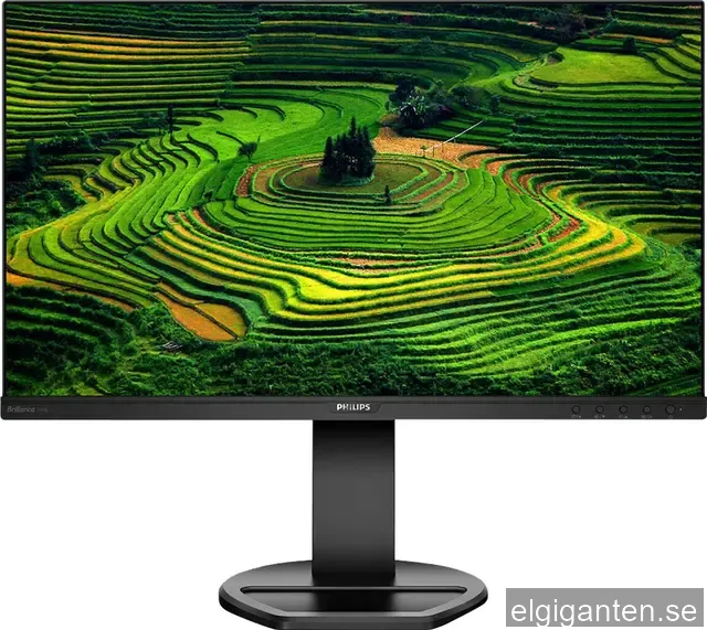 Philips B Line 241B8QJEB - LED-skärm - Full HD (1080p) - 24