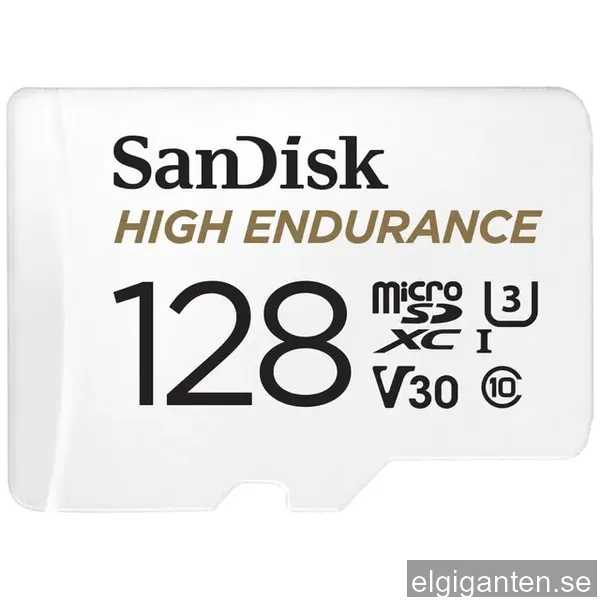 SanDisk High Endurance