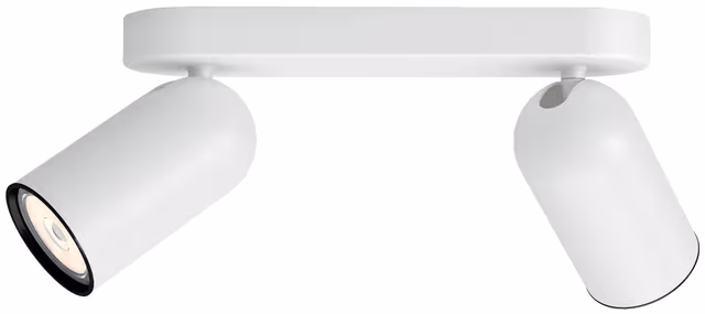 Philips PONGEE bar/tube white 2xNW