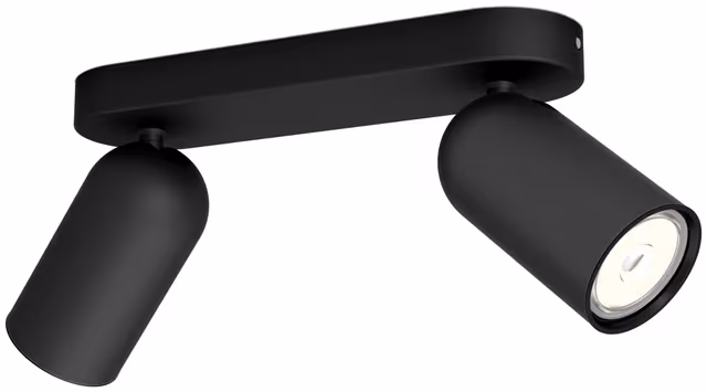 Philips PONGEE bar/tube black 2xNW
