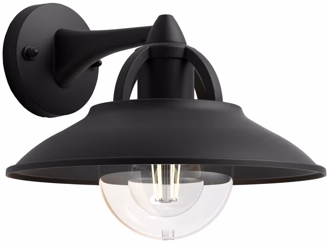 Philips Cormorant wall lantern black 1x42W 230V