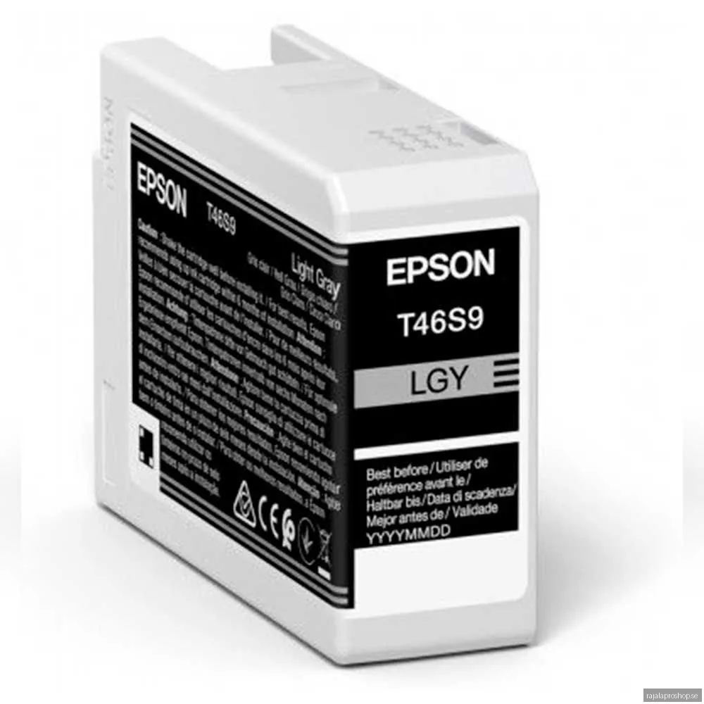 Epson Singlepack Light Gray T46S9 UltraChrome Pro