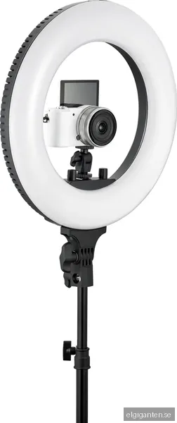 Wistream Halo 300 Light