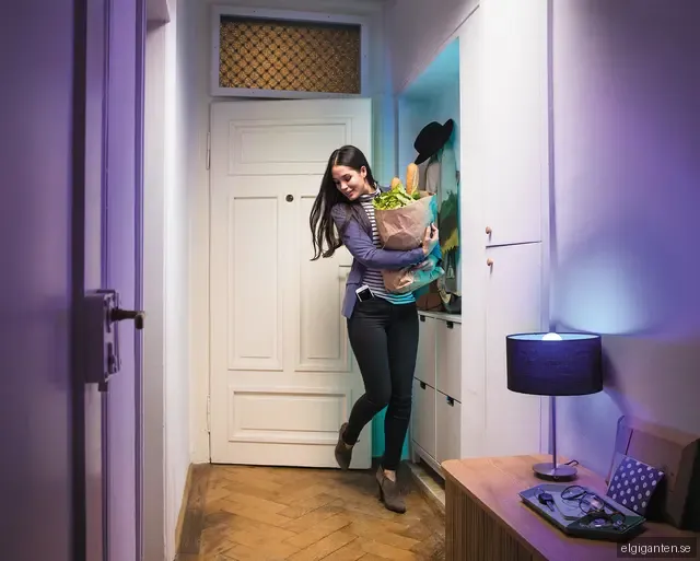 Ledvance Smart+ LED E27 60W glödlampa 151737