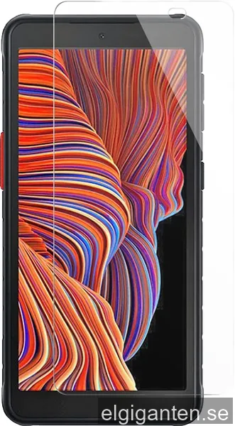 Panzer Samsung Galaxy XCover 5 skärmskydd