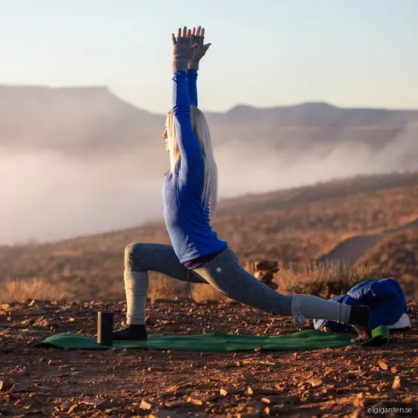 Braven BVR-360 trådlös högtalare (svart)