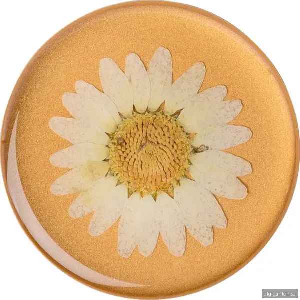 Popsockets Premium mobilhållare (pressed flower white daisy)