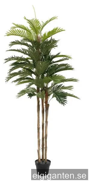 Kentia palm tree, artificial plant, 150cm