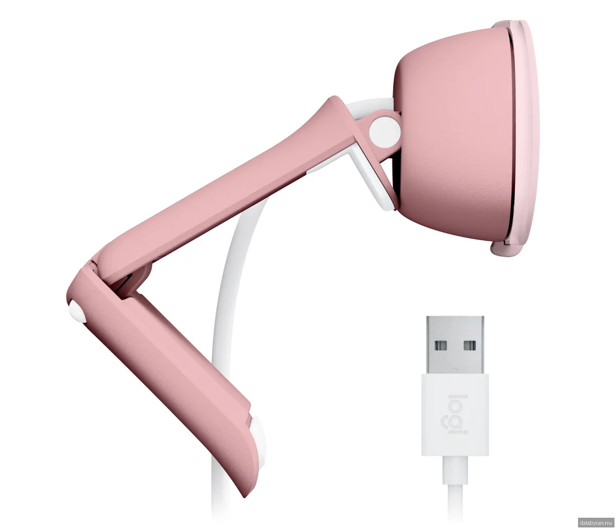 Logitech Brio 100 - Rose