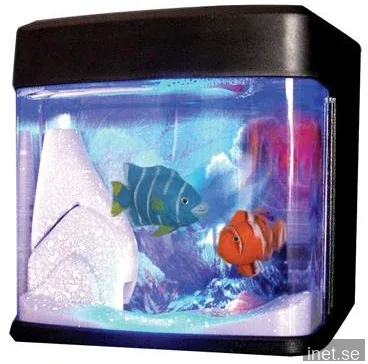 Satzuma Fish tank